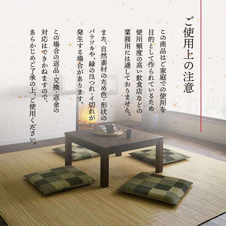 ブロック 座布団 2P BR 55X55 55×55cm 日用品 消臭 日本製 布団