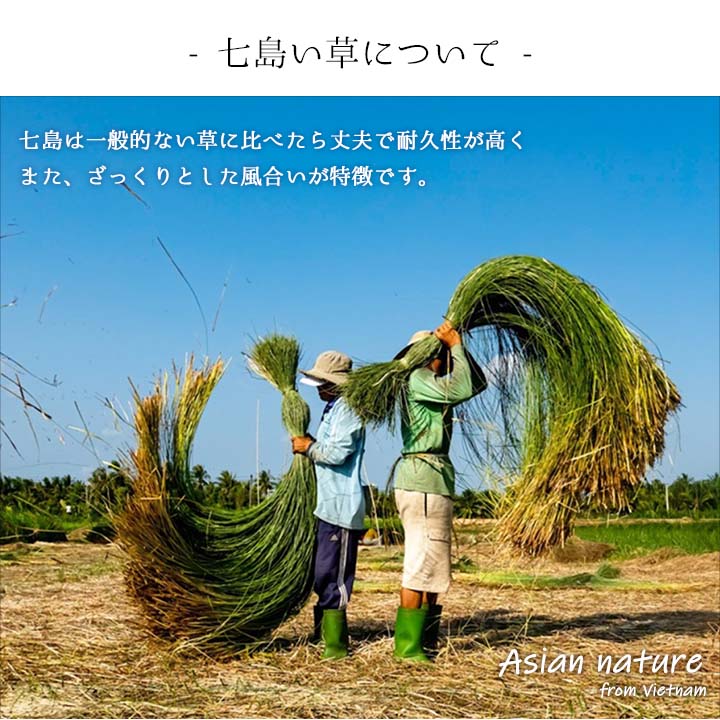 ルームシューズ ルーチェ スリッパ GN 26X26 22.5~24cm 玄関収納 室内履き 母の日