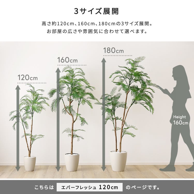 お手入れ簡単フェイクグリーン エバーフレッシュ Sサイズ(120cm) フェイクグリーン 観葉植物