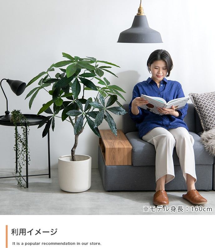フェイクグリーン・オブジェ 高さ90cm Nature 光触媒人工観葉植物 パキラ