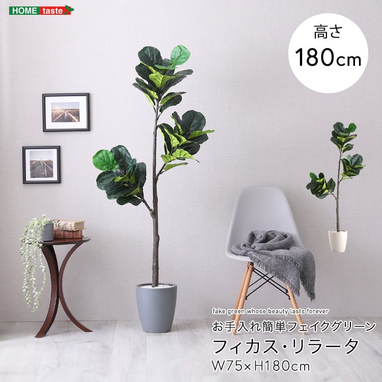 お手入れ簡単フェイクグリーン フィカス・リラータ Lサイズ(180cm) フェイクグリーン 観葉植物