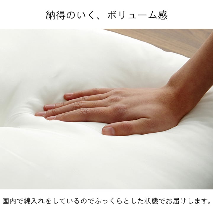 クッション ヌード 2P シート IV 45X45 45×45cm 日用品 日本製