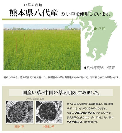 い草ラグ 不知火 ヒバ 三六4.5畳 273X273 273×273cm ラグマット カーペット