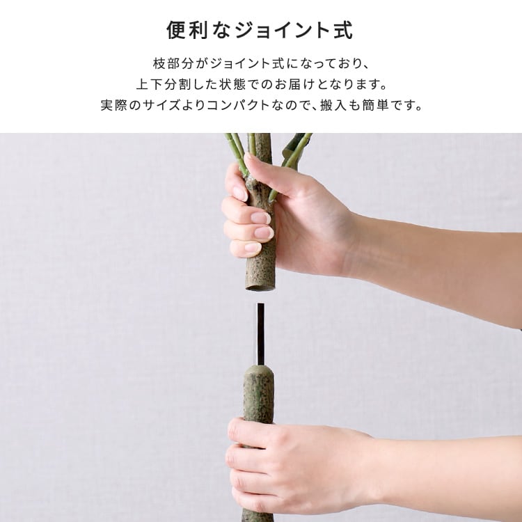 お手入れ簡単フェイクグリーン ユーカリ Mサイズ(150cm) フェイクグリーン 人工観葉植物 鉢付