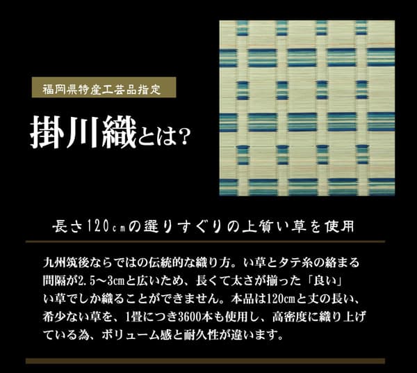 花ござ 雲仙 本間2畳 BE 191X191 191×191cm ラグマット カーペット ラグ 絨毯
