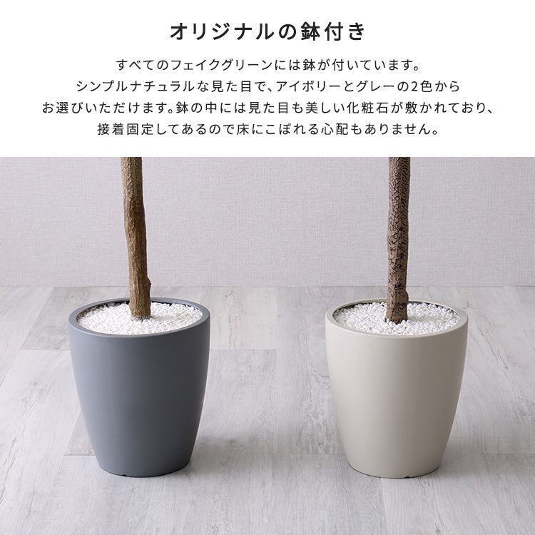 お手入れ簡単フェイクグリーン モンステラ Mサイズ(150cm)
