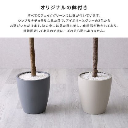 お手入れ簡単フェイクグリーン モンステラ Mサイズ(150cm)
