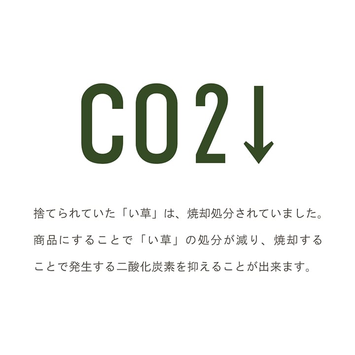 置物 みらいフレグラス 50X60 60cm フェイクグリーン オブジェ 生活雑貨