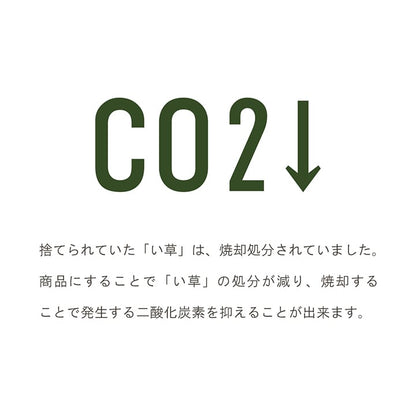 置物 みらいフレグラス 50X60 60cm フェイクグリーン オブジェ 生活雑貨