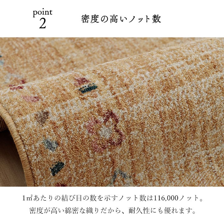 玄関マット マイアNA NA 50X80 50×80cm ラグマット カーペット ラグ 絨毯 マット