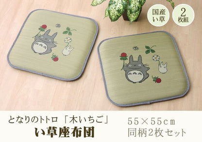 木いちごトトロ 2P 55×55cm 日本製 クッション・座布団