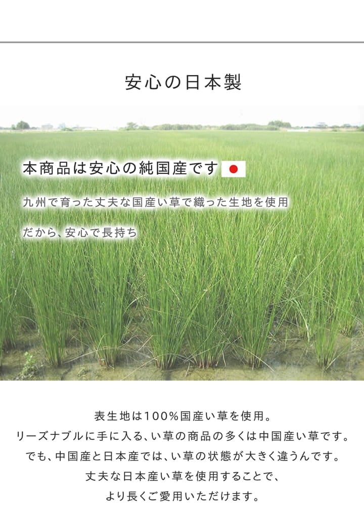 Fウォール ミニラグ 140X200 140×200cm ラグマット カーペット ラグ 絨毯 日本製