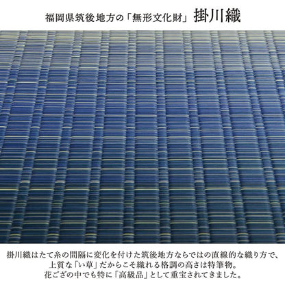 花ござ 大自然 江戸間4.5畳 ウミ 261X261 261×261cm ラグマット カーペット
