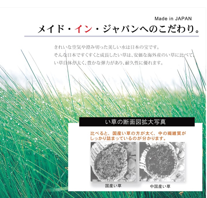 ラグ Fナール 普通版正方形 BR 191X191 191×191cm ラグマット カーペット 絨毯