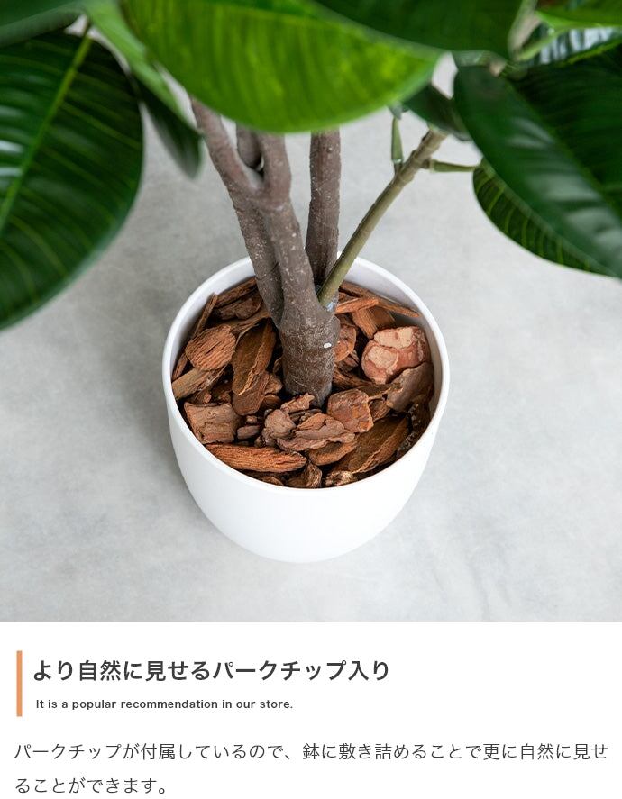 フェイクグリーン・オブジェ 高さ90cm Nature 光触媒人工観葉植物 パキラ
