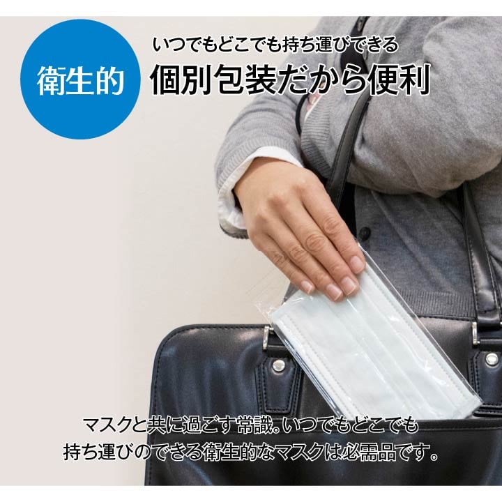 アレルプルーフマスクL 30枚入 9X18 17.5×9cm 日用品 消臭 マスク 生活雑貨 かぜ