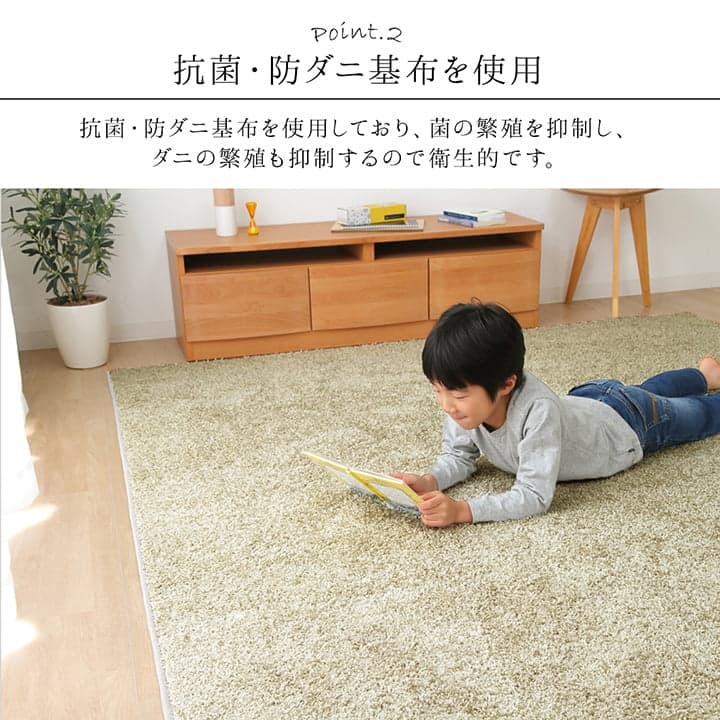 ラグ サンティエ 特殊 OV 150X250 150×250cm ラグマット カーペット 絨毯 抗菌