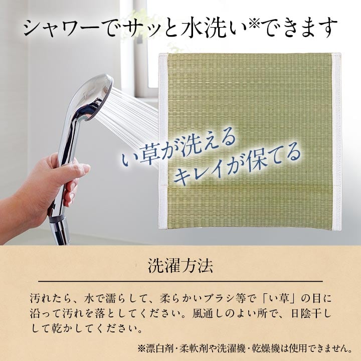 クッション 洗えるい草シート 40×40cm 通気性 クッション・座布団