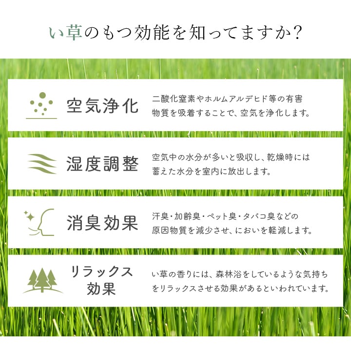 玄関マット Fラルフ BL 60X90 60×90cm ラグマット カーペット ラグ 絨毯 マット