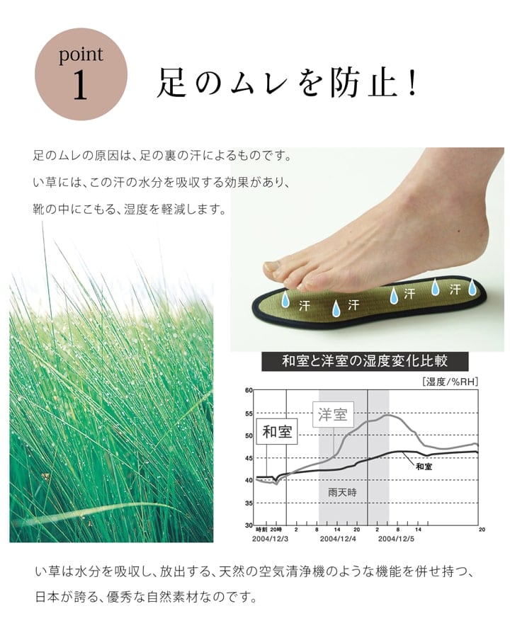 い草インソール色無 17cm NV 17 ラグマット カーペット ラグ 絨毯 消臭 インソール