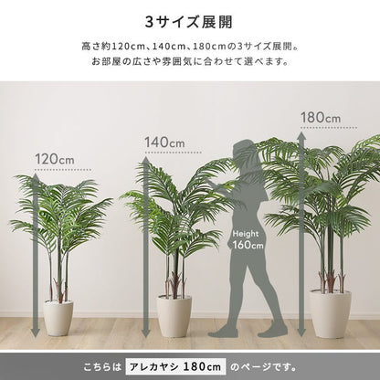 お手入れ簡単フェイクグリーン アレカヤシ Lサイズ(140cm) フェイクグリーン 人工観葉植物