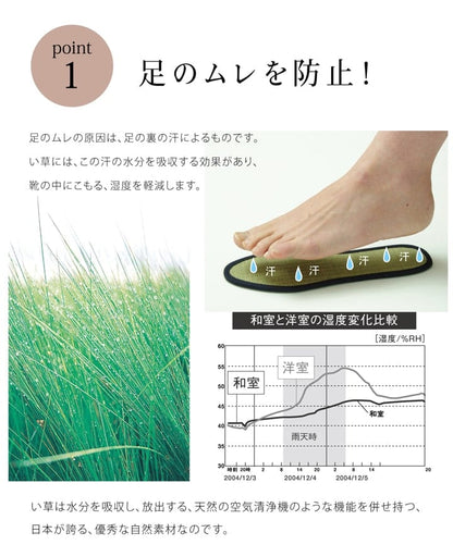 い草インソール色無 18cm NV 18 ラグマット カーペット ラグ 絨毯 消臭 インソール