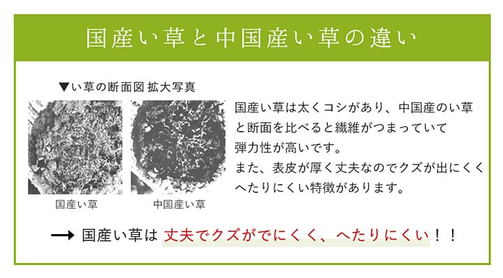 ラグ DXモーニング 普通版正方形 BE 191X191 191×191cm ラグマット カーペット