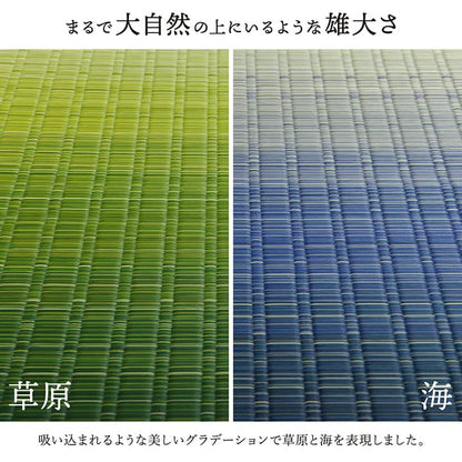 花ござ 大自然 江戸間4.5畳 ウミ 261X261 261×261cm ラグマット カーペット