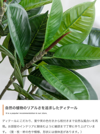 フェイクグリーン・オブジェ 高さ90cm Nature 光触媒人工観葉植物 パキラ