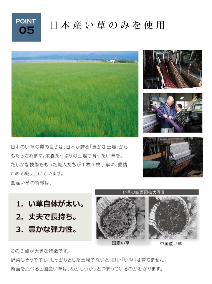 ラグ Fジョイ 楕円形 RE 190X210 190×210cm 楕円 ラグマット カーペット 絨毯