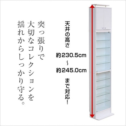 コレクションラック 浅型ハイタイプ セット(本体+上置き) コレクションケース 壁面収納 収納棚