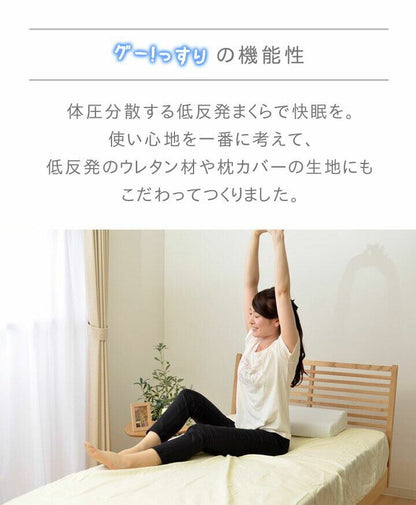 枕 グッスリ50X30LSP-0061 50×30cm 低反発 抗菌 消臭 寝具