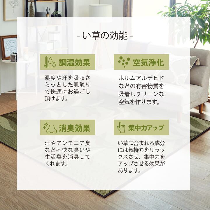 ラグ NSプレア 大判長方形 BL 191X300 191×300cm ラグマット カーペット 絨毯