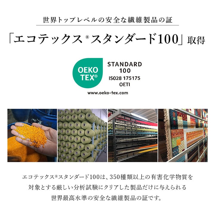 玄関マット マイアNA NA 50X80 50×80cm ラグマット カーペット ラグ 絨毯 マット