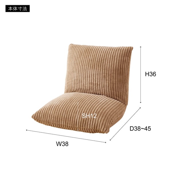 フロアチェア カックンリクライナー 幅38×奥行38×高さ36cm チェア ダイニングチェア 完成品