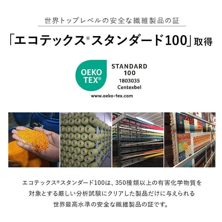 玄関マット ミケ 50X80 50×80cm ラグマット カーペット ラグ 絨毯 マット