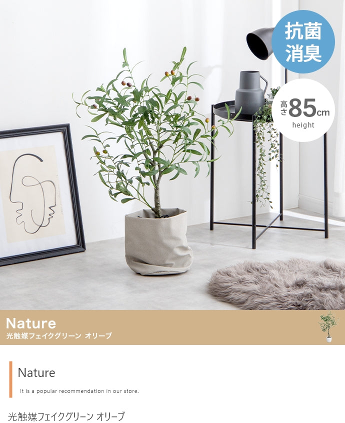 フェイクグリーン・オブジェ フェイクグリーン 高さ85cm Nature 光触媒人工観葉植物